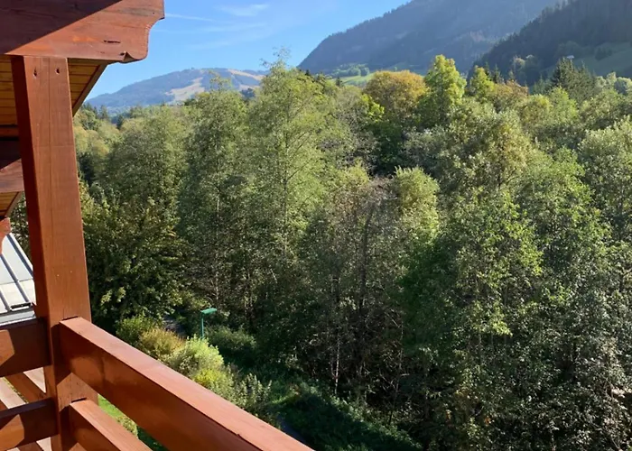Appartement Vue Piste De Ski